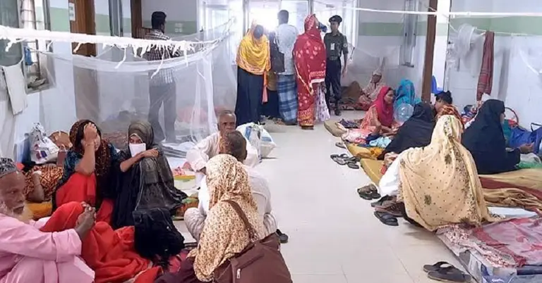 হাসপাতালে চিকিৎসাধীন রয়েছেন ডেঙ্গু রোগীরা